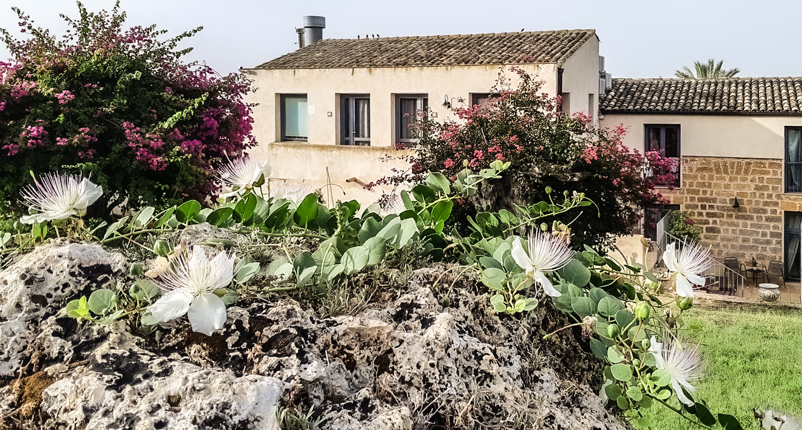 La casa tra le bouganville e le piante di fico d'India