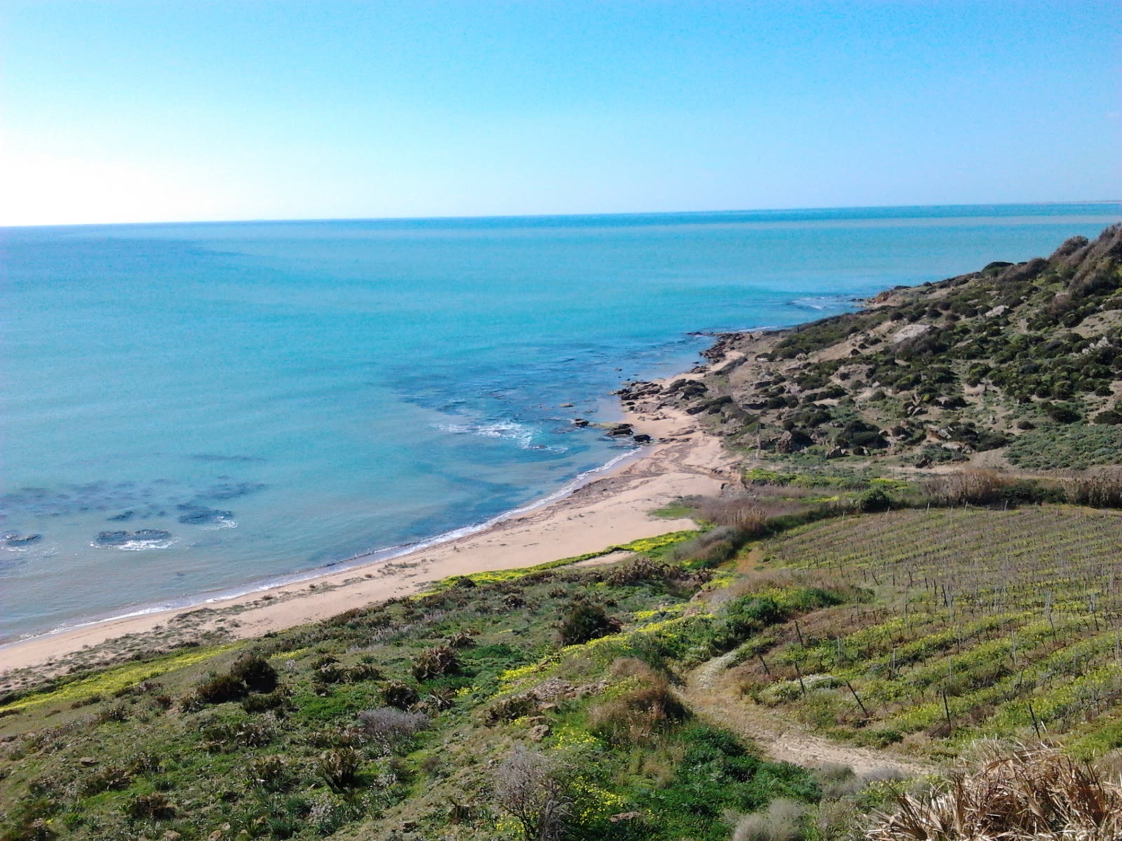 La costa di Porto Palo con i vigneti che arrivano al mare
